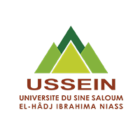 USSEIN Logo